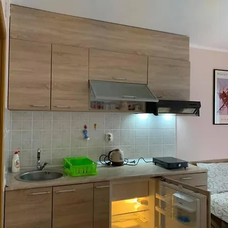 Apartment Micic *