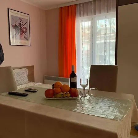 Apartment Micic *