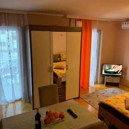 Daire Micic Vrnjačka Banja