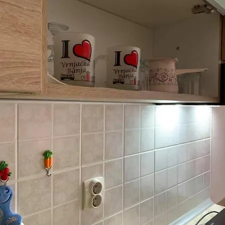 Apartment Micic *