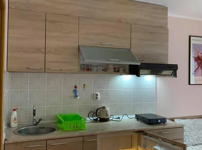 Appartamento Micic *